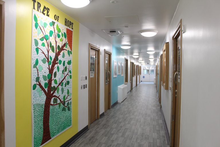 Coloured walls in corridor and tree of hope mural