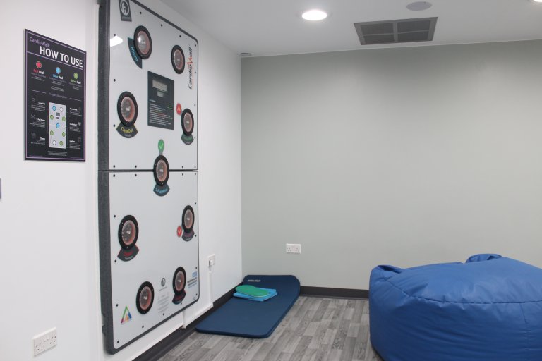 Cardio wall and exercise equipment